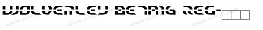 Wolverley Beta16 Reg字体转换